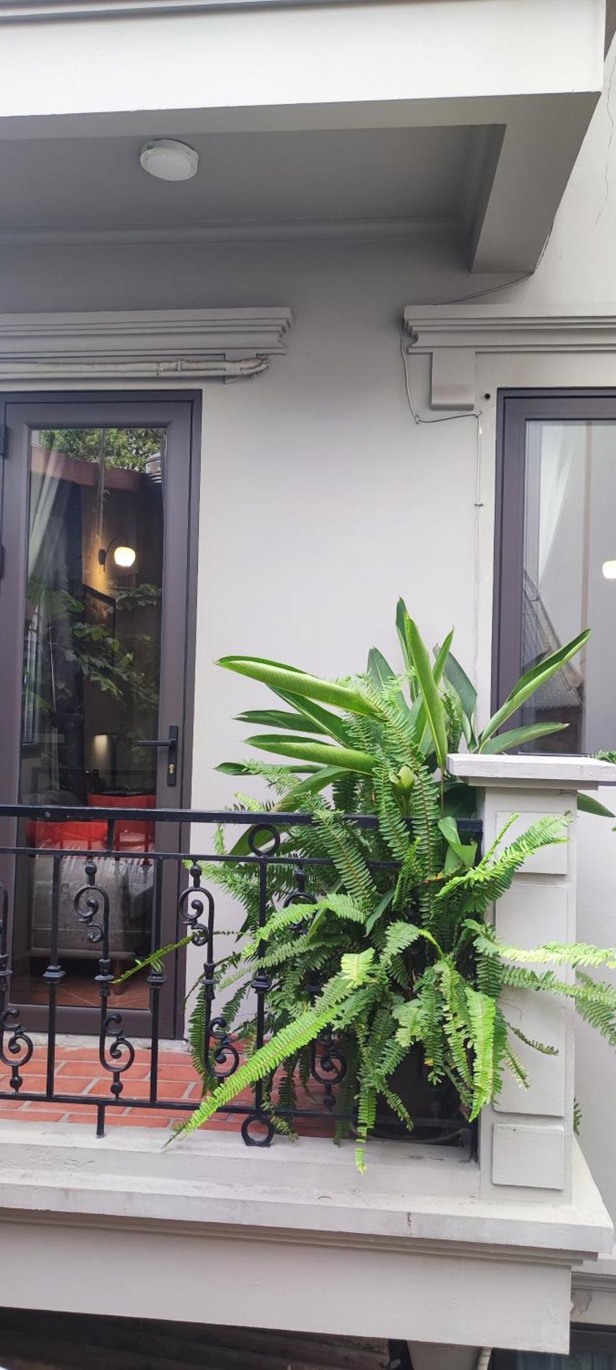 T Home Balcony Homestay Hanoi Dış mekan fotoğraf